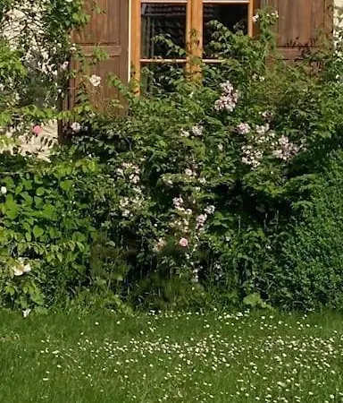 The Mindful Place *